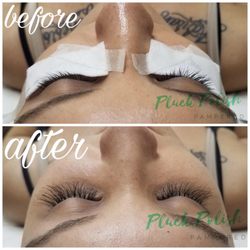Pluck Polish Pampered - Lash tabs for an event