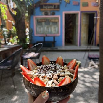 Raw Love - Vegan Near Me - Tulum, ROO Raw Love - Vegan Near Me - Tulum, ROO
