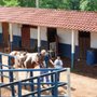 Photo of Hamburgueria Santista