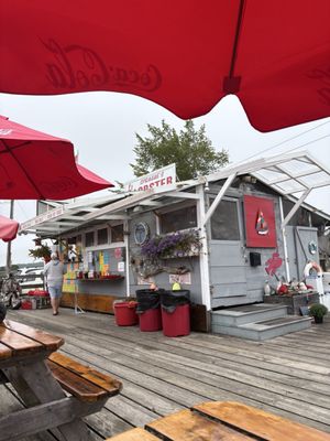 Sprague's Lobster by null