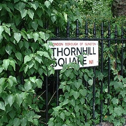 Thornhill Square