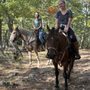 Photo of Mountain View Rocking B Ranch