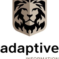 Adaptive Information Systems