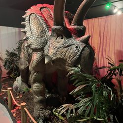 Dino Park