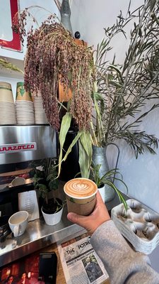 Piccino Coffee Bar by null