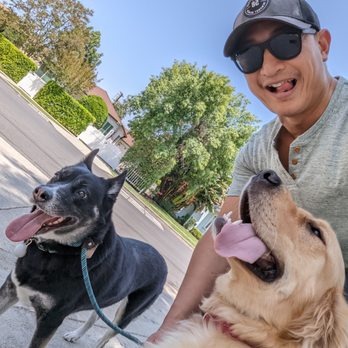 The K9 Usher - Pet Training Near Me The K9 Usher - Pet Training Near Me