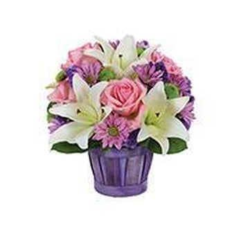 John Wolf Florist - Florists Near Me - Savannah, Georgia John Wolf Florist - Florists Near Me - Savannah, Georgia
