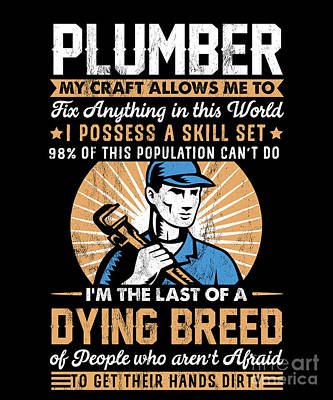 True Perfection Solutions Plumbing