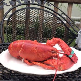 Little Harbor Lobster - Seafood Markets Near Me - Marblehead, Massachusetts Little Harbor Lobster - Seafood Markets Near Me - Marblehead, Massachusetts