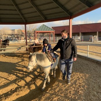 Curiosity Farms - Pony rides! - Farms Near Me - Lehi, Utah Curiosity Farms - Pony rides! - Farms Near Me - Lehi, Utah