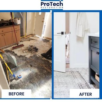 ProTech Restoration - Carpet Cleaning Near Me - Elk Grove Village, Illinois ProTech Restoration - Carpet Cleaning Near Me - Elk Grove Village, Illinois