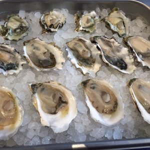 Photo of Northeast Oyster - Mamaroneck, NY, United States. Kumamoto, sexton island and Montauk pearl