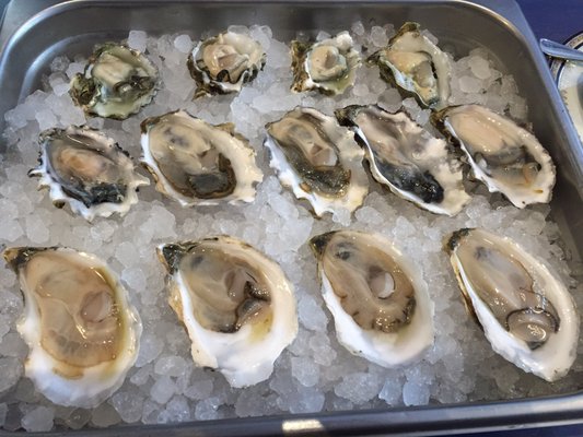 Photo of Northeast Oyster - Mamaroneck, NY, US. Kumamoto, sexton island and Montauk pearl