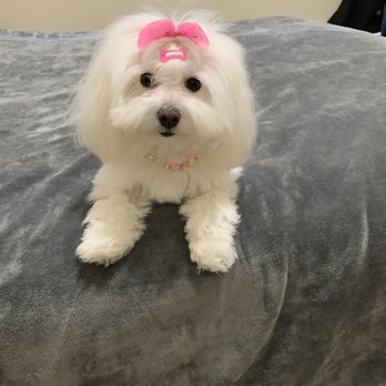 Woodin You - Before - Pet Stores Near Me - Vancouver, Washington Woodin You - Before - Pet Stores Near Me - Vancouver, Washington