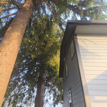 Quality Performance Tree Service - Tree Services Near Me Quality Performance Tree Service - Tree Services Near Me