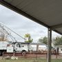Photo of Tree Professional