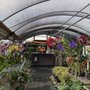 Photo of Keep It Green Nursery & Landscape