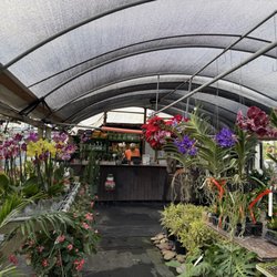 Keep It Green Nursery & Landscape