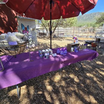 Pine Creek Canyon Lavender Farm - Farms Near Me - Pine, Arizona