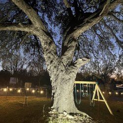 San Marcos Springs RV Park