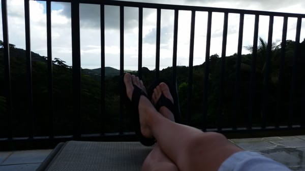 Ceiba Country Inn Bed & Breakfast by null