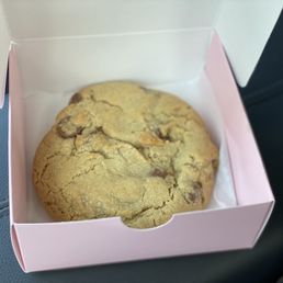 One Chocolate Chip Cookie