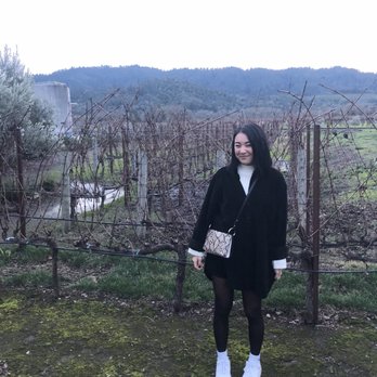 Napa Cellars - Yeet - Wineries Near Me - Oakville, California