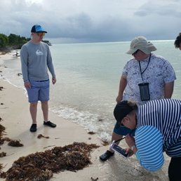 Found a starfish.