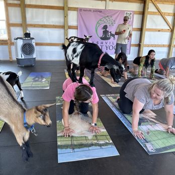 Nashville Goat Yoga - Goat massage! - Yoga Near Me - Springfield, Tennessee Nashville Goat Yoga - Goat massage! - Yoga Near Me - Springfield, Tennessee