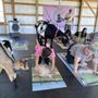 Photo of Nashville Goat Yoga