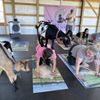 Nashville Goat Yoga gift card