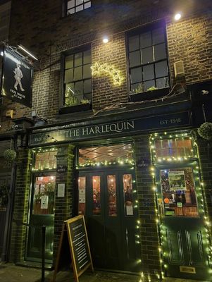 The Harlequin by null