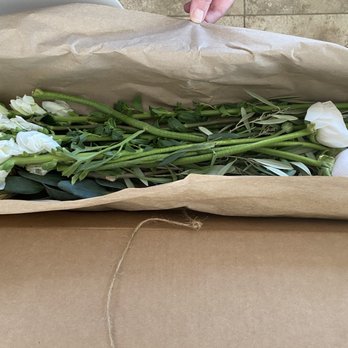 Matilda's Bloombox - Flowers and greens in a Bloombox, as they arrive. - Florists Near Me - San Francisco, California Matilda's Bloombox - Flowers and greens in a Bloombox, as they arrive. - Florists Near Me - San Francisco, California