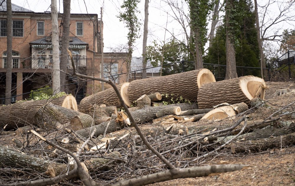 Bailys Landscaping - tree service in Birmingham, AL