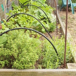 Columbus Garden School - Raised vegetable beds