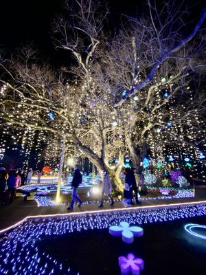 Ashikaga Flower Park by null