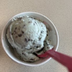Baskin-Robbins 31 Flavors Ice Cream - Mint chocolate chip