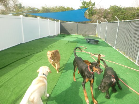 Sheldegren Pet Resort & Salon