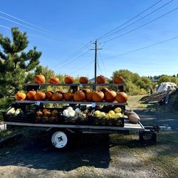 Deep Roots Farm - October 6 2024