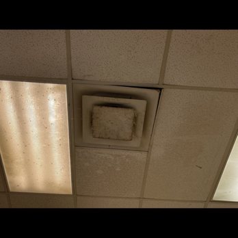 Dixie's Pet Spa & Boutique - Ceiling vent before two more corners fell out. - Pet Groomers Near Me - Cumming, Georgia Dixie's Pet Spa & Boutique - Ceiling vent before two more corners fell out. - Pet Groomers Near Me - Cumming, Georgia