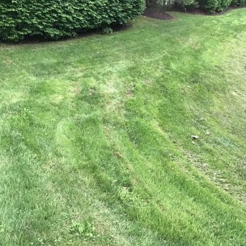Mark's Lawn Care & Landscaping - Weeds, Ruts, Bare Spots - Landscaping Near Me Mark's Lawn Care & Landscaping - Weeds, Ruts, Bare Spots - Landscaping Near Me