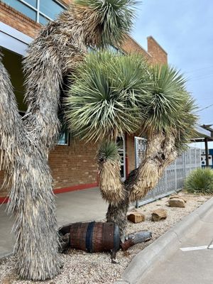 McPherson Cellars Winery by null