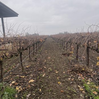 m2 Wines - Wine Tasting Room Near Me - Acampo, California