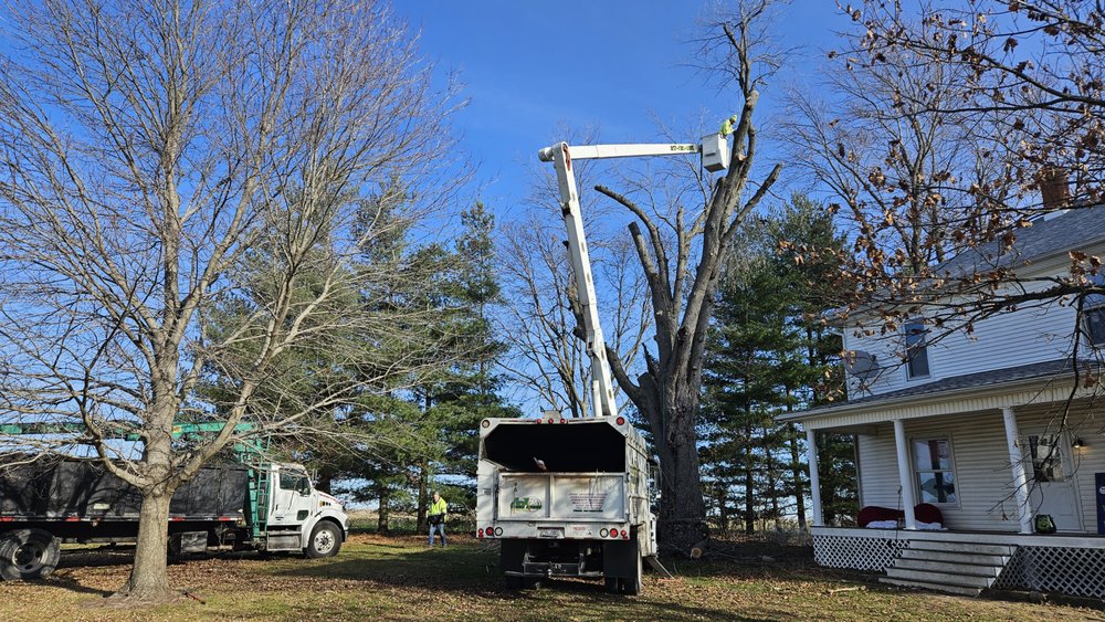 A1 Tree Care - tree service in Decatur, IL