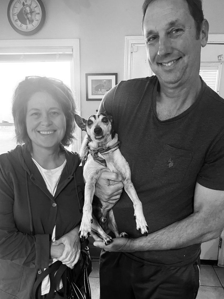 BEAR CREEK BOARDING KENNELS Updated September 2024 11 Photos & 12