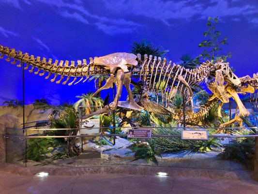 The Children's Museum of Indianapolis by null