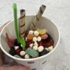 Cups Frozen Yogurt gift card