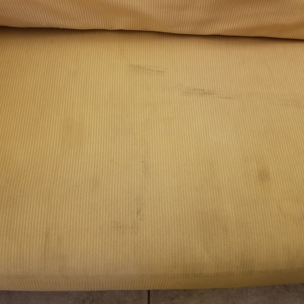 Budget Inn Punta Gorda - Stained couch - Hotels Near Me - Punta Gorda, Florida