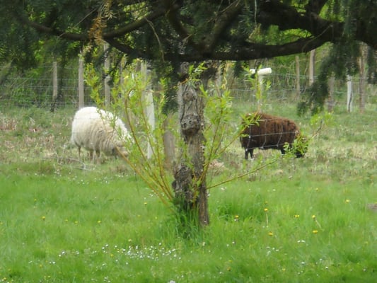 Potager du Roi by null