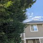 Urban Tree Pros